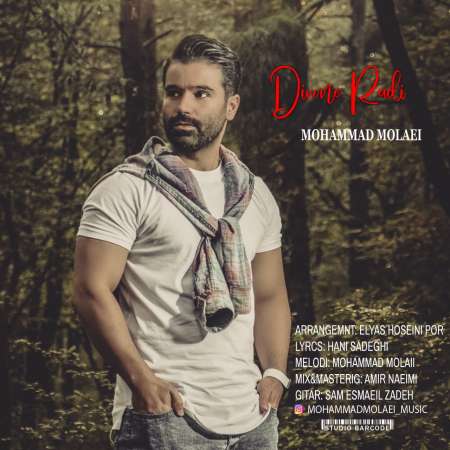 Mohammad Molaei – Divone Radi